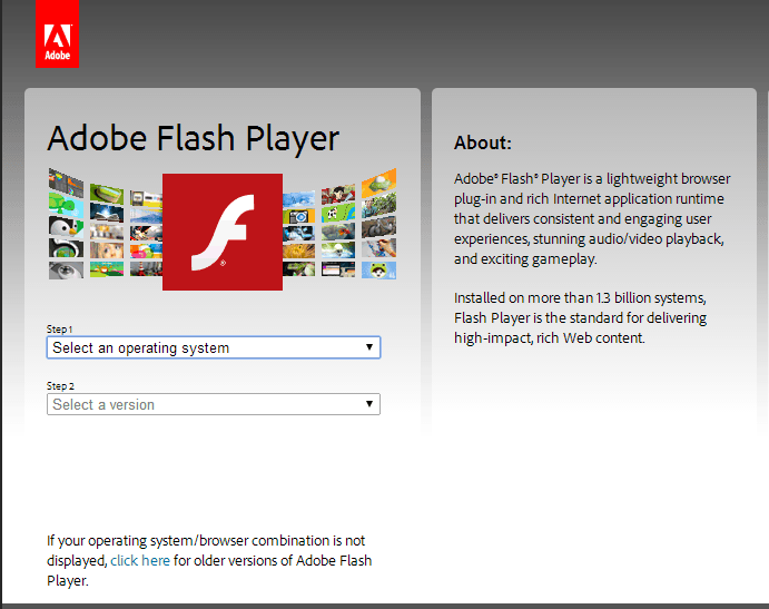update flash player safari